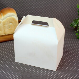 yHpMtgzx[J[Mtgt[ No.1.5 5