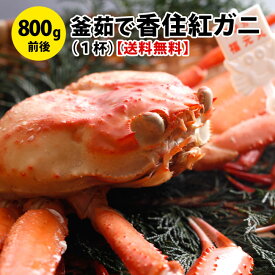 送料無料！釜茹で香住紅ズワイガニ（特大800g前後）1杯香住 カニ かに 兵庫県 カニ 通販かに 城崎 カニ ずわいがに ズワイガニ 朝市広場 紅ズワイガニ 香住町 香住 カニ 市場 味噌が濃厚 身が甘い 城崎温泉 紅ずわいがに かにみそ 旅館湯楽使用 ギフト 母の日 父の日 国産