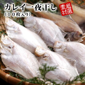 山陰日本海の旨み凝縮 カレイ干物10枚入り 一夜干し 一夜干し 干物 日本海 年末年始 グルメ 食べ物 お取り寄せ 御歳暮 御中元 お歳暮 お中元 お祝い プレゼント 贈答用 敬老の日 母の日 父の日 ギフト