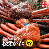 【先行予約ポイント5倍】松葉ガニ800g前後（1杯）獲れたて未冷凍で産地直送 城崎温泉旅館湯楽の松葉ガニ …