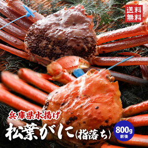 󂠂菼tKj800gOi1tj1`2{wAlꂽĖⓀ 艷򗷊ٓy̏tKj Z Jj  󂠂 tKj t tI ɌY ËR ĎR ʔ̂   