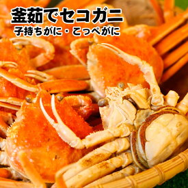 訳あり釜茹でセコガニ（1杯）小サイズ　せこがに 香箱ガニ セイコガニ　配送日時指定OK　カニ かに ズワイガニ かにみそ 松葉ガニ せこ蟹 セコガニ こっぺがに コッペガニ 同梱おすすめ 兵庫 柴山 津居山 香箱がに