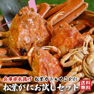 【先行予約ポイント3倍】訳あり釜茹で松葉ガニ1杯＆セコガニ3杯お試しセット（1〜3本指落ち） 香住 カニ …