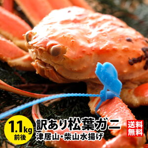 󂠂菼tKj1.1kgOi1tj1`2wAlꂽĖⓀA艷򗷊ٓy̏tKj Z Jj  󂠂 tKj t tJj tI ɌY ËR ĎR ʔ̂  J