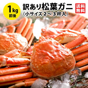 󂠂芘䥂ŏtKj400g`500gOi2`3tjv1kgOZbgi1`3{w jJj  󂠂 tKjt tI Ɍ ËR ĎR ʔ  Jj 킢 YCKj 