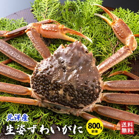 生姿ズワイガニ1杯（800g前後）冷凍 配送日指定OK ズワイガニ 生 カニ かに カニ鍋 セット ズワイガニ カニ かにすき