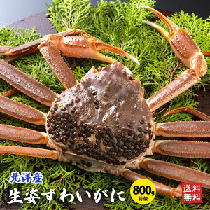 pYCKj1ti800gOjⓀ zwOK YCKj  Jj  Jj Zbg YCKj Jj ɂ