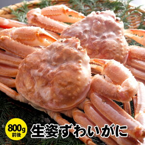 2twőIpYCKj1ti800gOjⓀ zwOK YCKj  Jj  Jj Zbg YCKj Jj ɂ