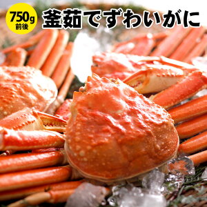 {CYCKj 750gOi1tjⓀ zwOK@kmY YCKj {C Jj  Zbg 킢