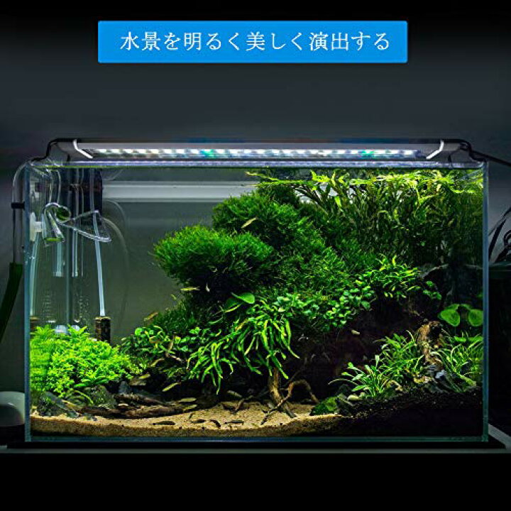 楽天市場 水槽 ライト 水槽ライト60cm 四色 白 赤 青 緑 水槽用照明 アクアリウムライト 45cm水槽用ledライト Zitrades水槽 Led タイマー付き 明るさ調整 水槽照明 観賞魚飼育 水草育成 省エネ 長寿命 水族館ブラシ アーサイト楽天市場店