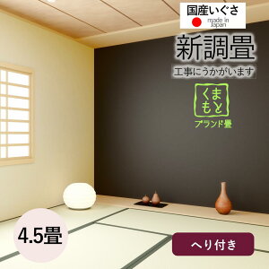 yȁ̌H/yjf܂/_ސEzyVF{Y4.5z 4.5 4.5 4 ւ  ւ   Y F{Y   Ђ݂̂ǂ V S i 