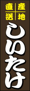 ̂ڂw 01x
