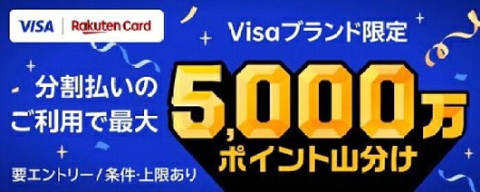 楽天カードVISA限定ポイント山分け企画