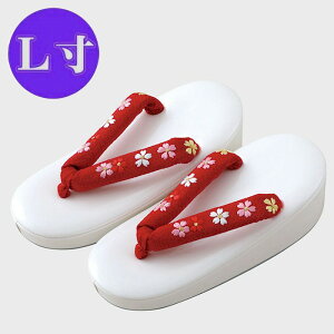 ܎O qp  {  ԕ@ hJ L 21cm i 75-7-54 10382069 jq ǂ   񂹏i