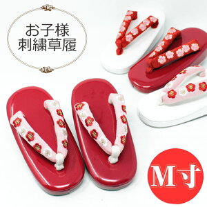 ܎O qp   ԑ @ hJ M 18cm q ǂ  