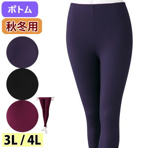   p {g Ăs[`N 9 3L 4L icf98592-lllj Y{ 傫 wl  p H~p 1g܂Ń[։ ak15 25aw