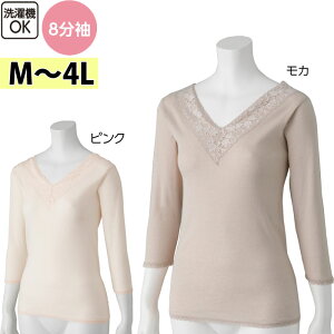   p Vc 8 Ci[ icf800491-lllj 3L 4L 傫TCY  Rbg wl  p ak21 25aw