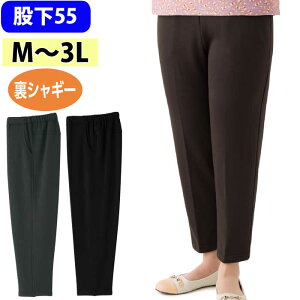 p pc VM[ ߂炭pc icf821581j Y{   wl VjA fB[X p H~p ak21 25aw