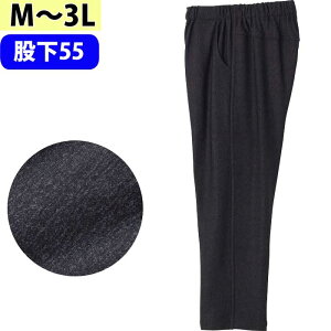 p pc xA ߂炭pc icf822036j S芷\ Y{  wl VjA fB[X p H~p ak23 25aw