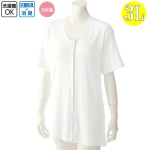   p OJ 3 Vc ^b`e[v 吡 3Licf38118-05j傫ȃTCY wl  p 1܂Ń[։ ak00 25aw