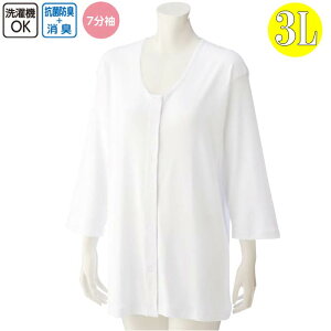   p OJ 7 Vc ^b`e[v 吡 3Licf3812105j傫ȃTCY wl  p 1܂Ń[։ ak00 25aw