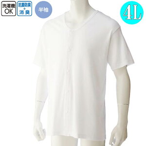   jp OJ  Vc zbN 4L icf38125-08j傫TCY am Y  p 1܂Ń[։ ak00 25aw