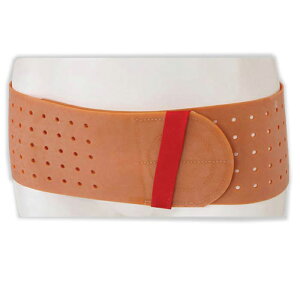  Ճoh S (on617313) { Ճxg T|[^[ p 1_܂Ń[OK