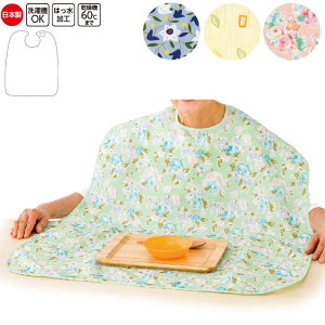  Gv HpGv H { icf38951j HGv l pi1܂Ń[։ ak13 ak00 25aw