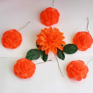 Ԋ}p ԏ F 6_Zbg J[l[V x Ղ ͂Ȃ   悳 t_X {x w 1Zbg