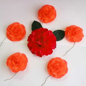 Ԋ}p ԏ Ԏ F 6_Zbg O J[l[V x Ղ ͂Ȃ   悳 t_X {x w