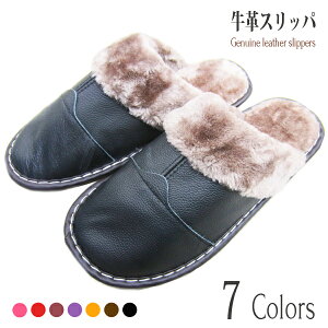 {v vXbp Ղ{AŒg Y fB[X  h ׂɂ