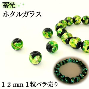 z^KX O[ ~^Cv 12mm 1 o   KX Ƃڋ   LL |Cg 蕨 y_g