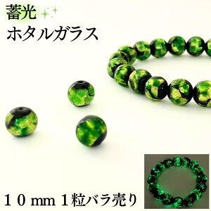 z^KX O[ ~^Cv 10mm 1 o   KX Ƃڋ   LL |Cg 蕨 y_g