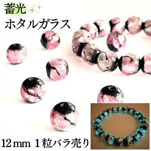 ~ z^KX sN 12mm 1 o   KX u OX Ƃڋ z^  LL |Cg 蕨