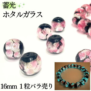 ~ z^KX sN 16mm 1 o   KX u OX z^ Ƃڋ    LL |Cg 蕨 y_g