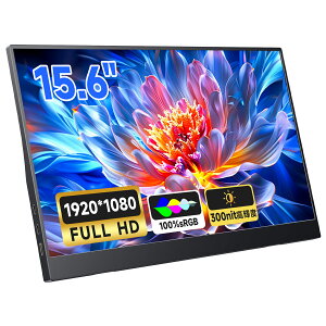 ���o�C�����j�^�[ 15.6�C���` �f�B�X�v���C �m���O���A �t��HD IPS�t���p�l�� �|�[�^�u�����j�^�[ �f���A�����j�^�[ �T�u���j�^�[ Type-C HDMI �y�� ���^ �e�����[�N �Q�[�� Switch PS5 Mac Windows ����
