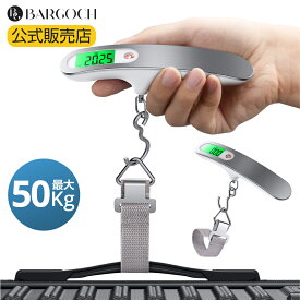 【75%OFFで3980円→980円】 ラゲッジスケール 携帯式デジタル スケール スーツケース 量り デジタルスケール 吊り下げ式 ラゲッジチェッカー スーツケース重さ はかり 旅行用 旅行 ステンレス仕上げ 日本語説明書付き 電池付属 送料無料