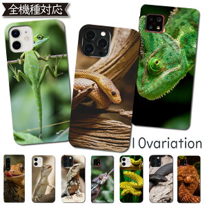 AQUOS sense7 SH-53C SHG10 P[X S@Ή PCP[X n[hP[X  ঒ S@ ؍ X}zP[X SH-53CP[X SH-53CJo[ SHG10P[X SHG10Jo[ gуJo[