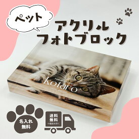 アクリルブロック アクリルキューブ フォトフレーム ペット オーダーメイド オリジナル 名入れ無料 写真プリント うちの子グッズ 高級アクリル フォトスタンド オーダーメイド 愛犬 愛猫 メモリアル 記念日 誕生日 ギフト インテリア 犬 猫 写真立て