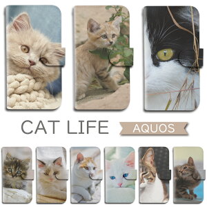 P10�{15��OF�z AQUOS wish5 SH-52F �P�[�X �蒠�^ �˂� �L �V�����_�[ �^�C�v AQUOS R9 �P�[�X AQUOS R10 sense8 R8 sense7 plus R7 sense6s wish 2 3 4 sense6 zero6 R6 sense4 lite sense3 lite sense5G sense4 Plus sense2 R3 �A�N�I�X AQUOS