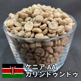 【送料無料】 コーヒー生豆 ケニア AA カリンドゥンドゥ ウォッシュト 800g 2kg 5kg 10kg | スペシャルティコーヒー 珈琲生豆 自家焙煎 豆 最高等級 カシス ベリー ワイン 濃厚 コク 酸味 高級 業務用 大容量【レビュー投稿で20%OFFクーポン】