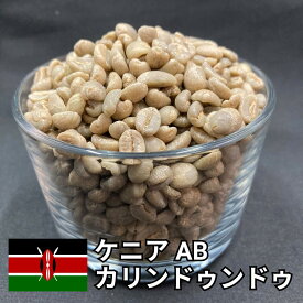 【送料無料】 コーヒー生豆 ケニア AB カリンドゥンドゥ ウォッシュト 800g 2kg 5kg 10kg | スペシャルティコーヒー 珈琲生豆 自家焙煎 豆 実力派 カシス ベリー ワイン 濃厚 コク 甘み 高級 業務用 大容量【レビュー投稿で20%OFFクーポン】