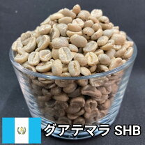 楽天市場】グァテマラ 生豆の通販