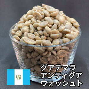 ★20%OFFクーポン配布中★ コーヒー生豆 珈琲生豆 800g/2kg/5kg/10kg 送料無料 グアテマラ アンティグア ウォッシュト