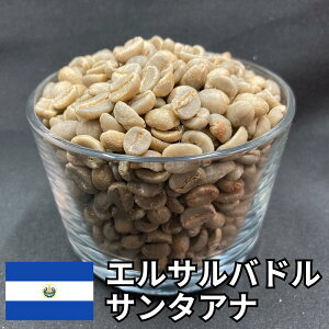 20OFFN[|  R[q[ p GToh T^Ai EHbVg 800g/2kg/5kg/10kg