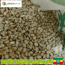 ★20％OFFクーポン配布中★ コーヒー生豆 珈琲生豆 800g/2kg/5kg/10kg 送料無料 エチオピア イルガチェフェG1 ナチュラル