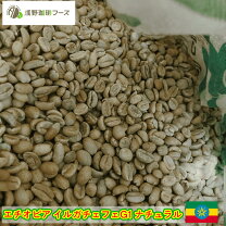楽天市場】イルガ 生豆 10kgの通販