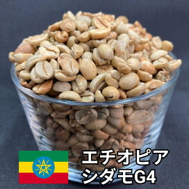 楽天市場】【送料無料】 コーヒー生豆 エチオピア シダモ G4 