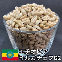 楽天市場】タンザニア 生豆 10kgの通販