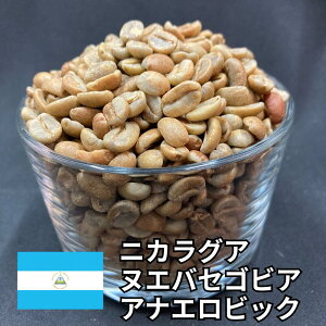 ★20%OFFクーポン★ 送料無料 コーヒー生豆 焙煎用 ニカラグア ヌエバセゴビア アナエロビックナチュラル 800g/2kg/5kg/10kg